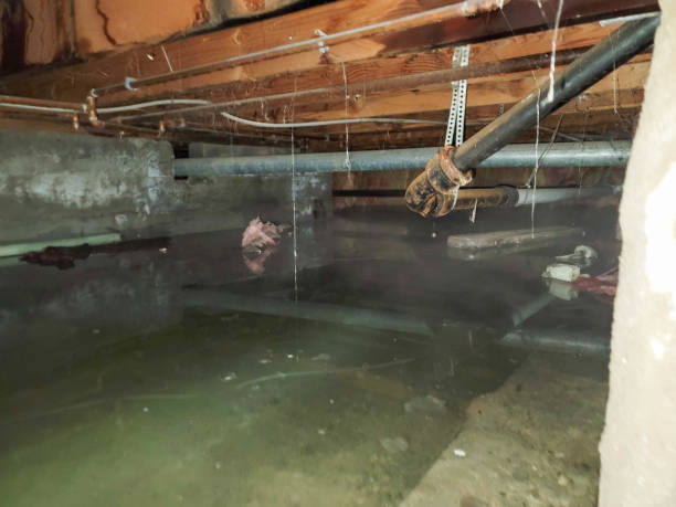 Best Flooded house restoration  in Mount Ora, OH